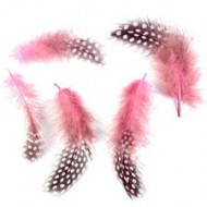 Veren Licht Roze (set van 5)