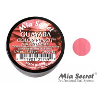 Color Punch Acrylpoeder Guayaba