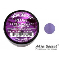 Color Punch Acrylpoeder Plum