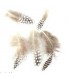 Veren Wit (set van 5)