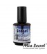 ICE Gel topcoat