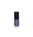 Magneet Nagellak Paars Blauw